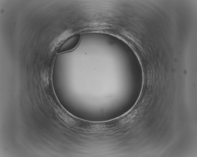 X0000067951451200604131423