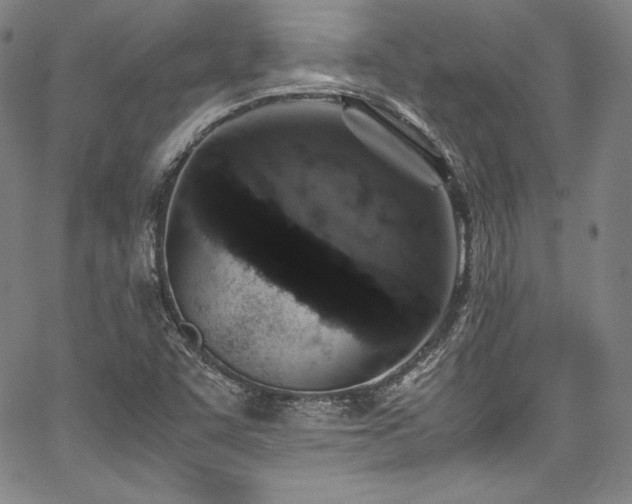 X0000067951455200604131423