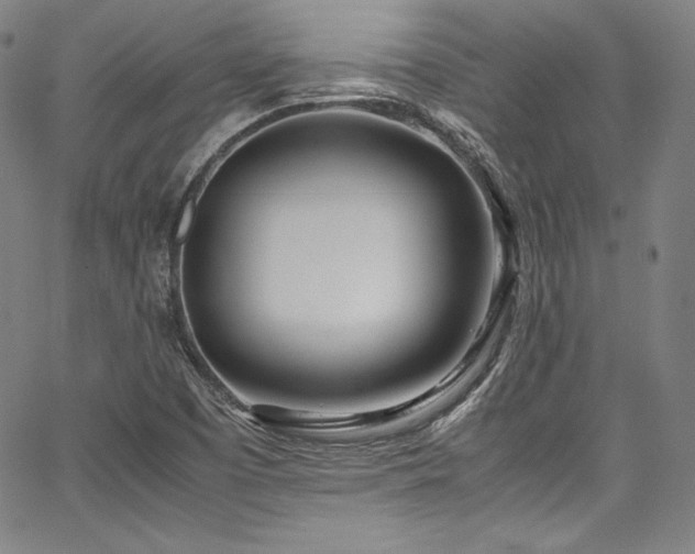 X0000067951457200604131423
