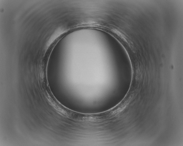 X0000067951458200604131423