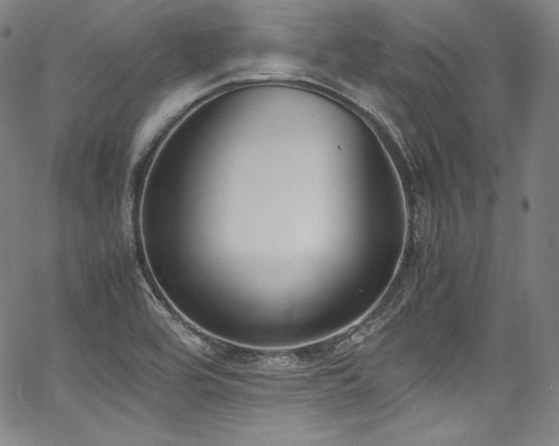 X0000067951464200604131423