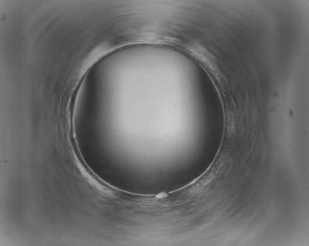 X0000067951479200604131423