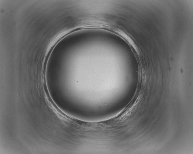 X0000067951485200604131423