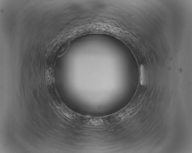 X0000067951491200604131422
