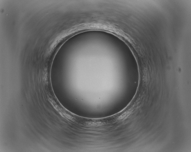 X0000067951499200604131422