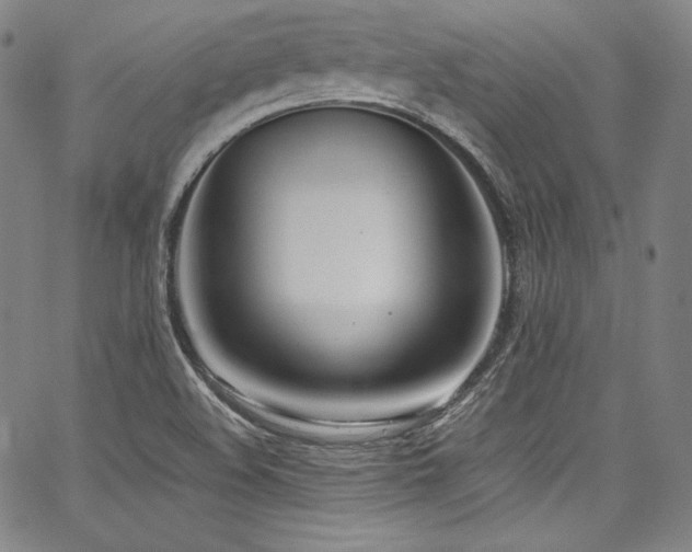 X0000067951508200604131422