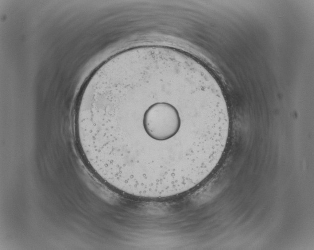 X0000067951514200604131422