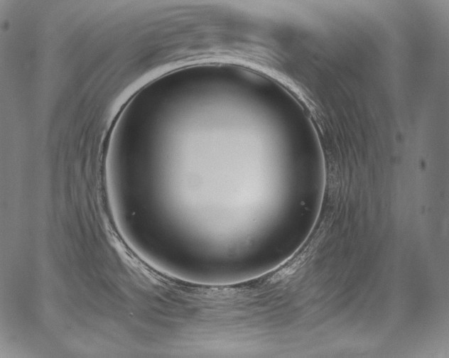 X0000067951534200604131423