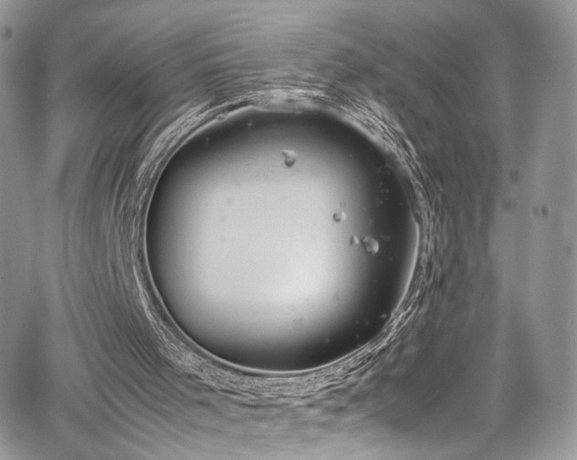 X0000067950001200604171447