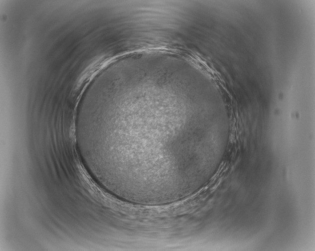 X0000067950002200604171447