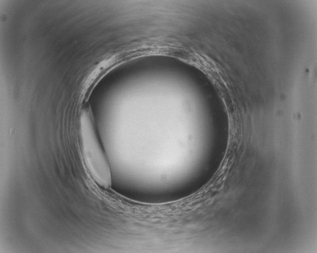 X0000067950003200604171447