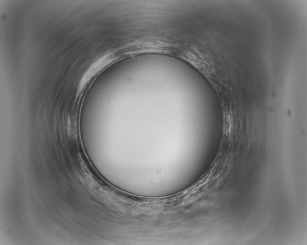 X0000067950004200604171447