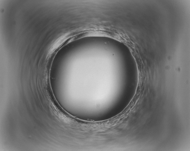 X0000067950005200604171447