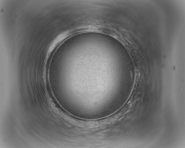 X0000067950006200604171447