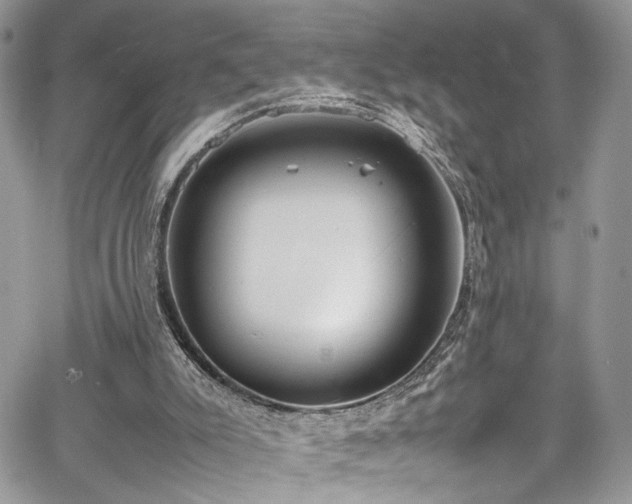 X0000067950007200604171447