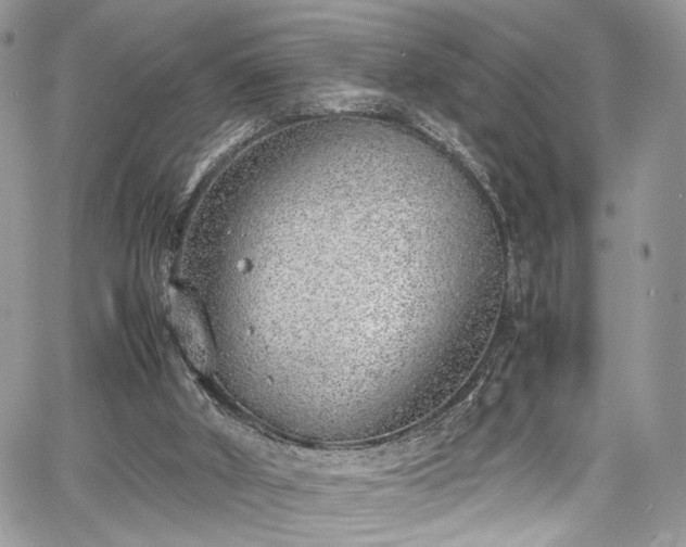 X0000067950010200604171447