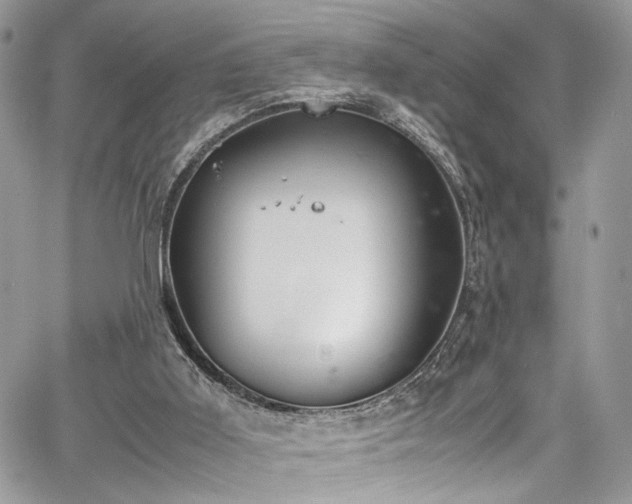 X0000067950011200604171447