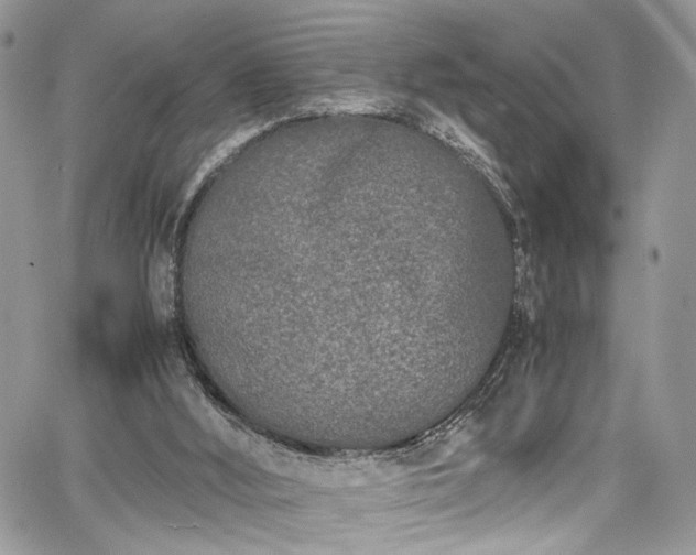 X0000067950012200604171447