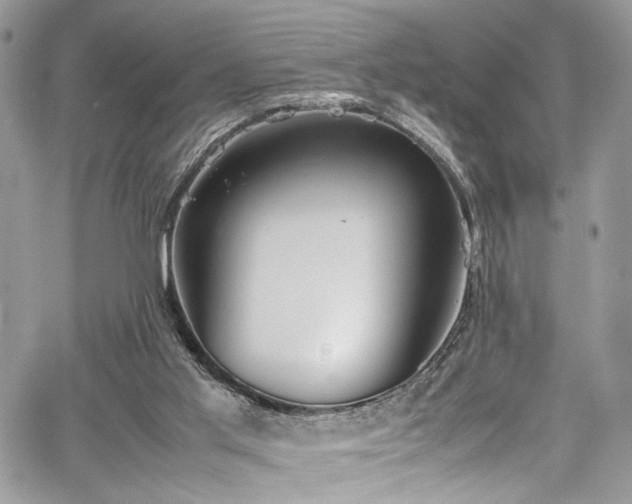 X0000067950013200604171447