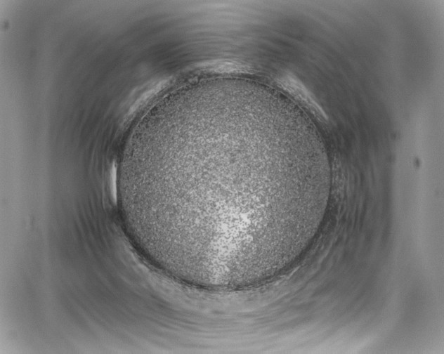 X0000067950014200604171447