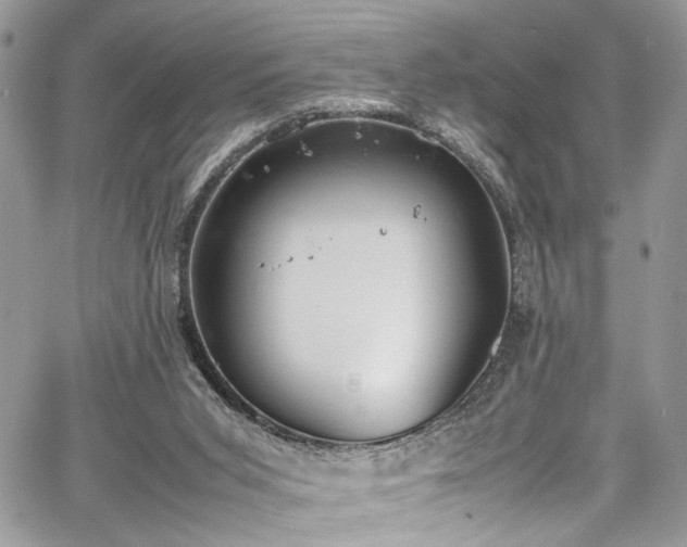 X0000067950015200604171447