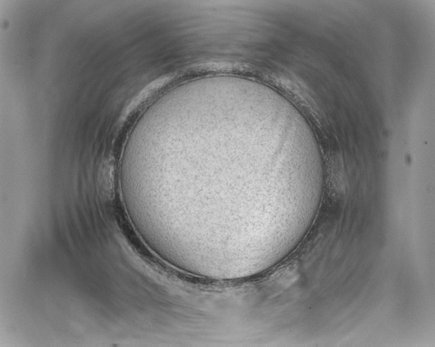 X0000067950016200604171447