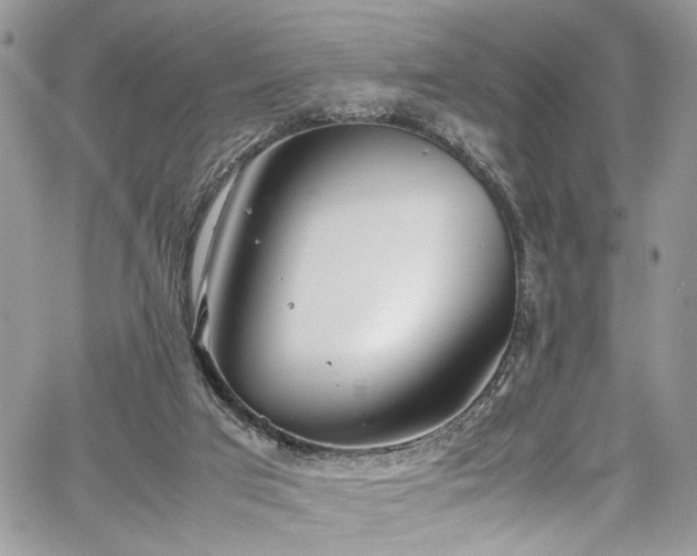 X0000067950017200604171447