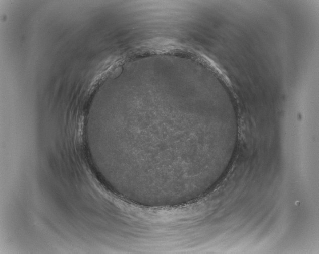 X0000067950018200604171447