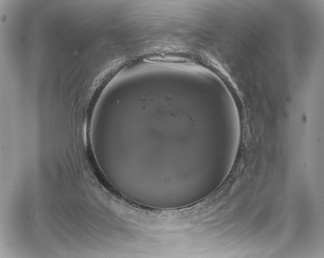 X0000067950019200604171447