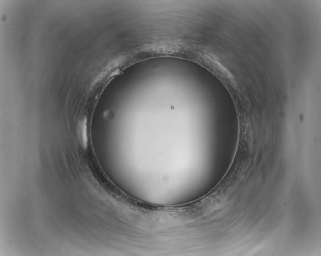 X0000067950020200604171447