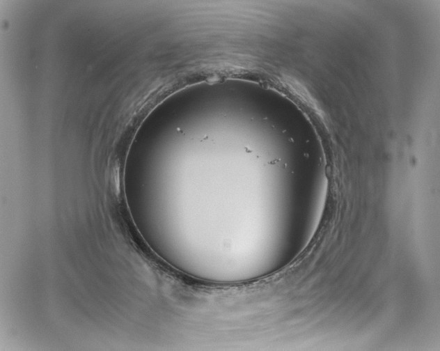 X0000067950021200604171447