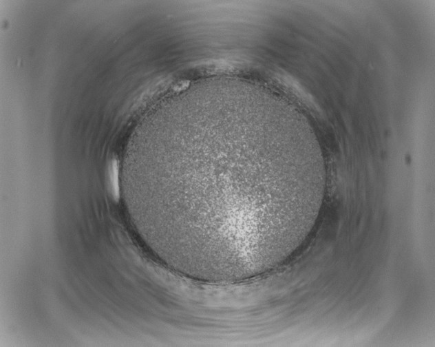 X0000067950022200604171447