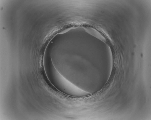 X0000067950023200604171447