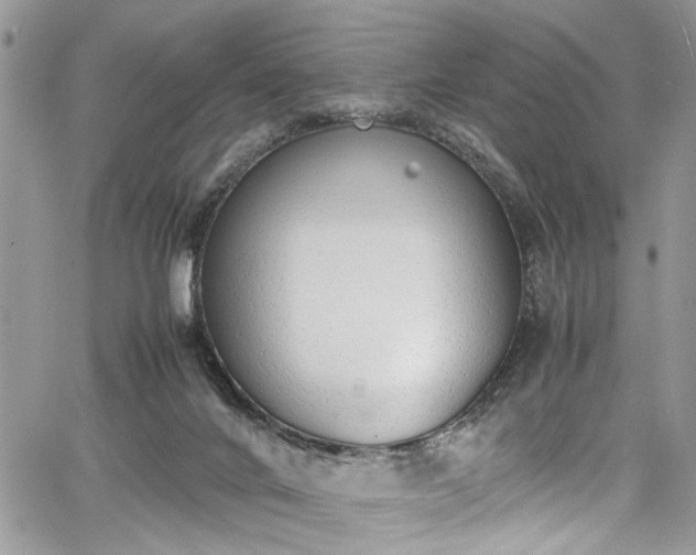 X0000067950024200604171447