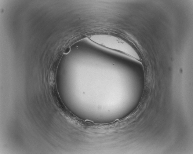 X0000067950025200604171447