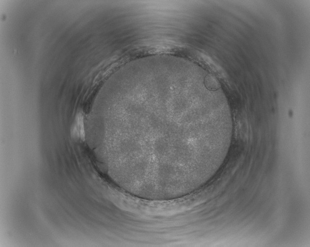 X0000067950026200604171447