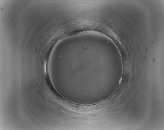 X0000067950027200604171447