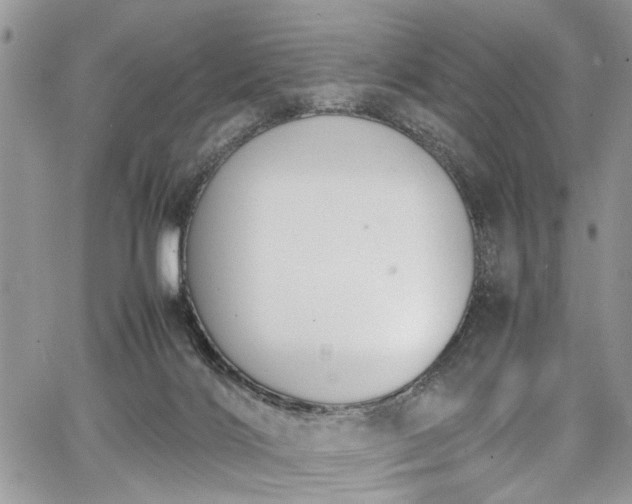 X0000067950028200604171447