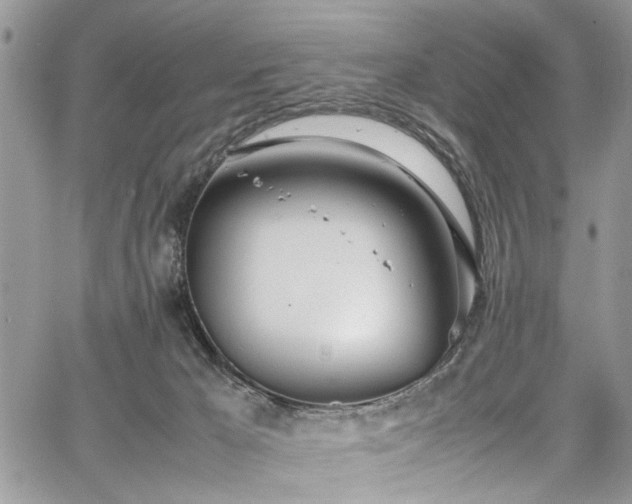 X0000067950029200604171447