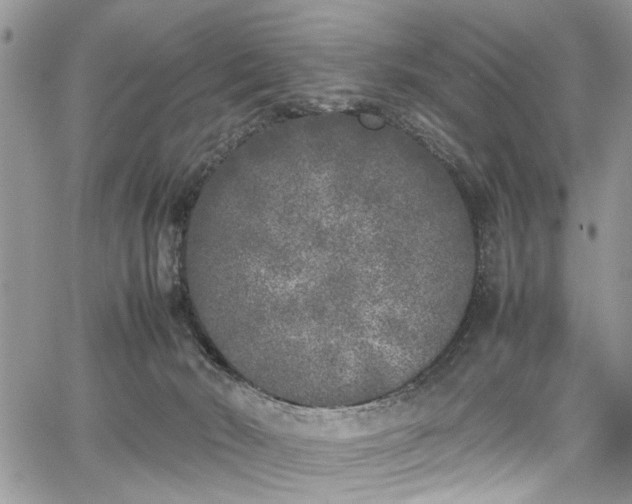 X0000067950030200604171447