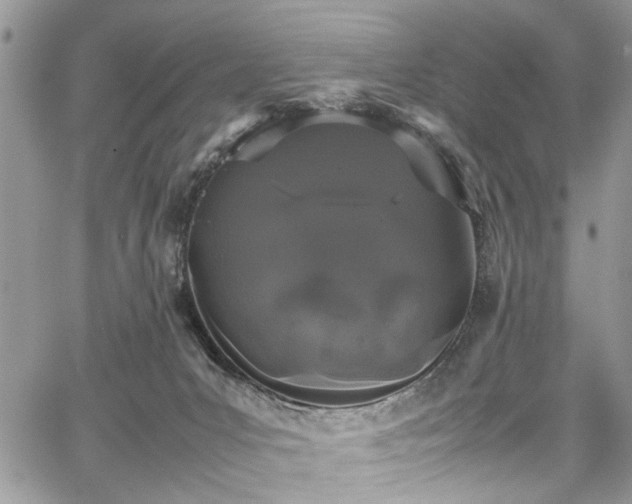 X0000067950031200604171447