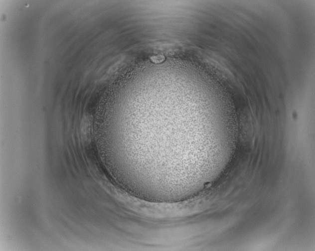 X0000067950034200604171446