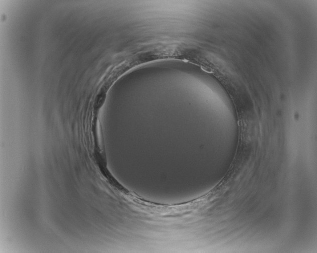 X0000067950035200604171446