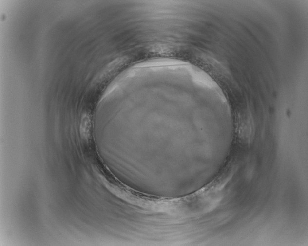 X0000067950036200604171446