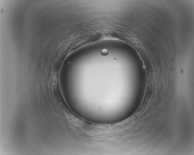 X0000067950037200604171446