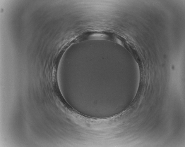 X0000067950039200604171446