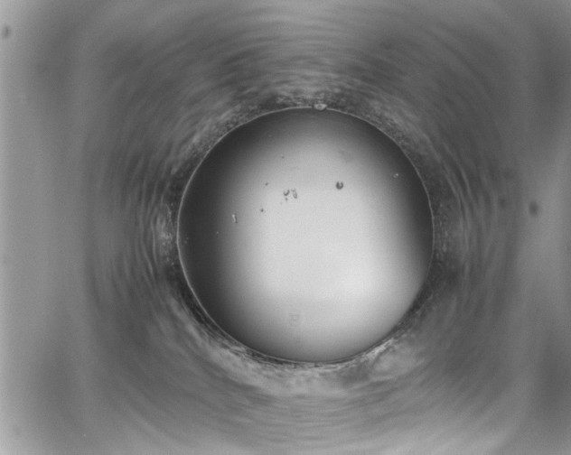 X0000067950040200604171446