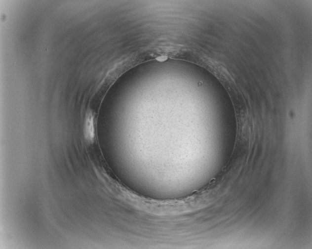 X0000067950042200604171446