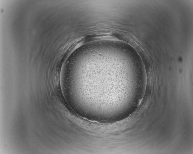 X0000067950043200604171446