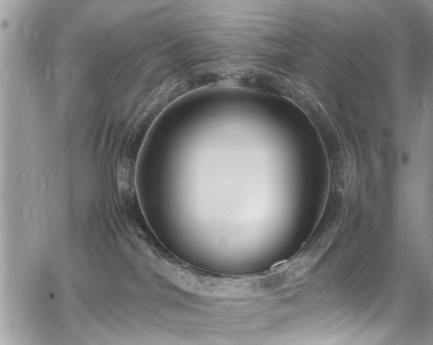 X0000067950044200604171446